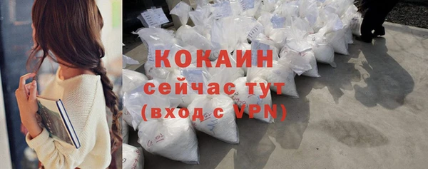 apvp Бородино