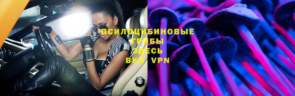 apvp Бородино