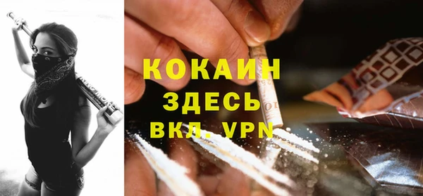 apvp Бородино