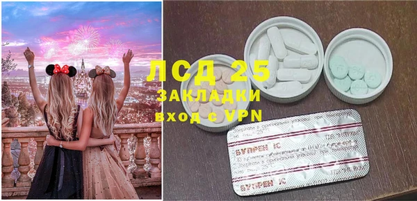 apvp Бородино