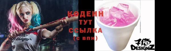 apvp Бородино