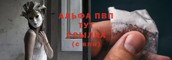 apvp Бородино