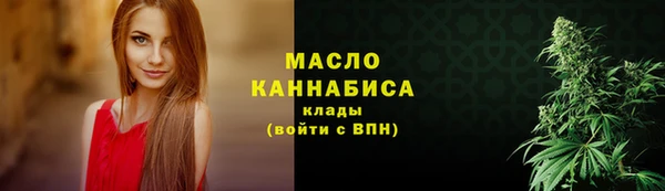 apvp Бородино