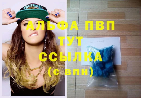 apvp Бородино