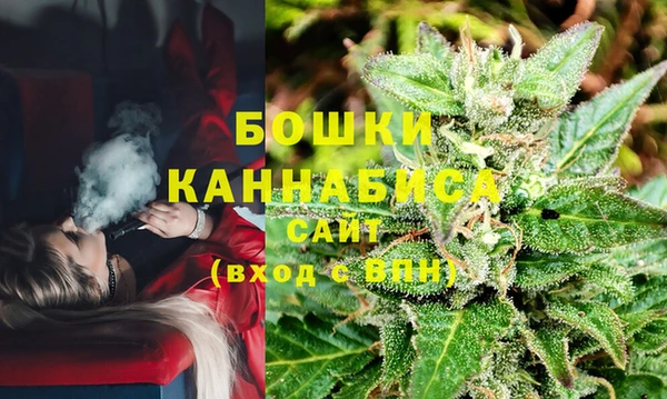 apvp Бородино