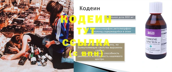 apvp Бородино